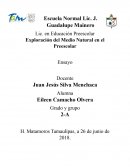 ¿cómo enseñar ciencia en el preescolar?