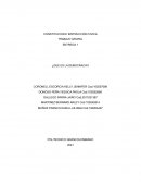 ENTREGA 1 ¿QUE ES LA DEMOCRACIA?