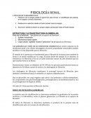 FISIOLOGÍA RENAL. 3 PROCESOS FUNDAMENTALES