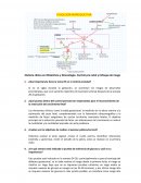 Historia clínica en Obstetricia y Ginecología. Control pre natal y Enfoque de riesgo