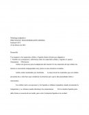 Metalurgia adaptativa PROCESO DE TRANSFORMACIÓN MINERA