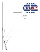 MANUAL DE POLITICAS TELECOM.INDICE. INTRODUCCIÓN