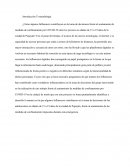 Influencers. Introducción Y metodología