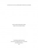 CULTIVOS DE COCA EN EL DEPARTAMENTO NORTE DE SANTANDER