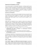 Control. Separación de la Propiedad y el Control