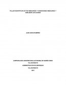 TALLER IDENTIFICAR ACTOS INSEGUROS Y CONDICIONES INSEGURAS Y ANALIZAR LAS CAUSAS