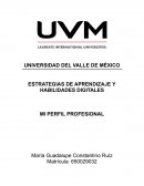 ESTRATEGIAS DE APRENDIZAJE Y HABILIDADES DIGITALES. MI PERFIL PROFESIONAL