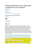 Principios unificadores de la regeneración