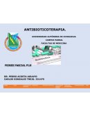 PML1 antibioticoterapia