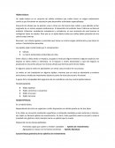 Biología. Tejidos básicos