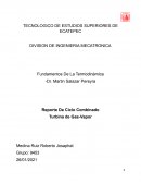 Ciclo combinado Rankine y Brayton (Termodinamica)