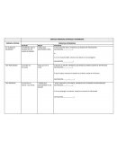 EJERCICIO CREENCIAS CENTRALES E INTERMEDIAS