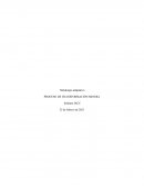 Metalurgia adaptativa