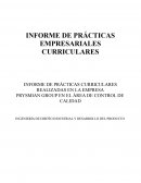 Informe de prácticas empresariales curriculares