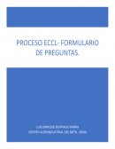 Formulación de Preguntas ECCL