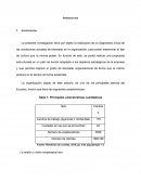 Organizaciòn Saludable