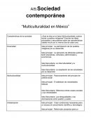 Sociedad contemporánea “Multiculturalidad en México”
