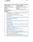 Evidencia 1 dirección estrategica Thomas y Dennis, S.C