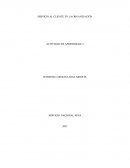 SERVICIO AL CLIENTE EN LA ORGANIZACIÓN