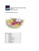 ESTRUCTURA Y FUNCION DEL CUERPO HUMANO