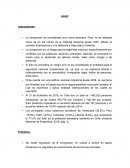 BRIEF - INMIGRACIÓN