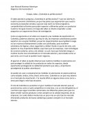 Negocios internacionales II Ensayo, video. ¿Colombia es perfeccionista?