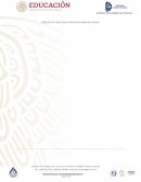 Diseño Organizacional y su Importancia en el Desarrollo de la Organización