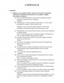 CAPITULO_14_blanchard