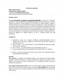 Proyecto de seguridad condominio