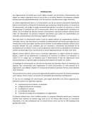 Starbucks. La cultura organizacional