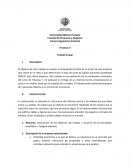 Finanzas II Trabajo Grupal