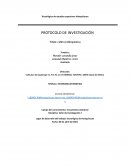 Protocolo: cultivos hidropónicos