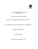 TRASTORNO DE ADICCCIÒN A INTERNET (CIBERADICCIÒN)