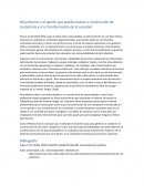 Mi profesión y el aporte que puede realizar a construcción de ciudadanía y a la transformación de la sociedad