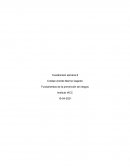 Fundamentos de la prevención de riesgos