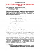 Proyectos para la creación de una empresa dedicada a la fabricación de papel bond en base del bagazo de la caña de azúca