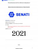 Plan de desarrollo del tema de valores en el distrito Puente Piedra