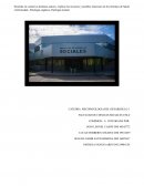 PSICOPATOLOGIA DEL DESARROLLO