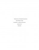 Tarea 2 Evaluación y formualación de proyectos