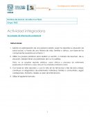 Tecnologías de información profesional