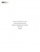Tercera semana Desarrollo para el aprendizaje