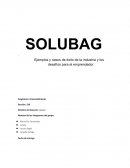Emprendimiento. SOLUBAG