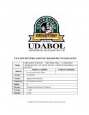 IMPLEMENTACIÓN DE SOFTWARE PARA LA DEMANDA PROBABILÍSTICA DE NEGOCIOS DEL COMERCIO MINORISTA EN BOLIVIA