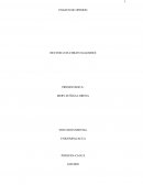 Ensayo de opinión: Influencia de la fotografía privada en el registro documental del siglo XX