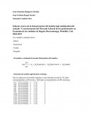 Informe acerca de la Interpretación del modelo logit multinomial del artículo “Caracterización del Mercado Laboral de los profesionales en Economía de las ciudades de Bogotá