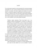 Vida, cultura y organización social de las comunidades humanas en la era Paleolítica