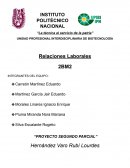 Actividad 1 ¨El candidato ideal¨