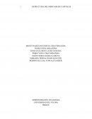 Estructura del mercado de capitales