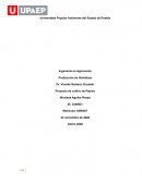 Proyecto de cultivo de Pepino