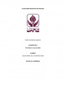 Ensayo Diseño de sistemas logísticos